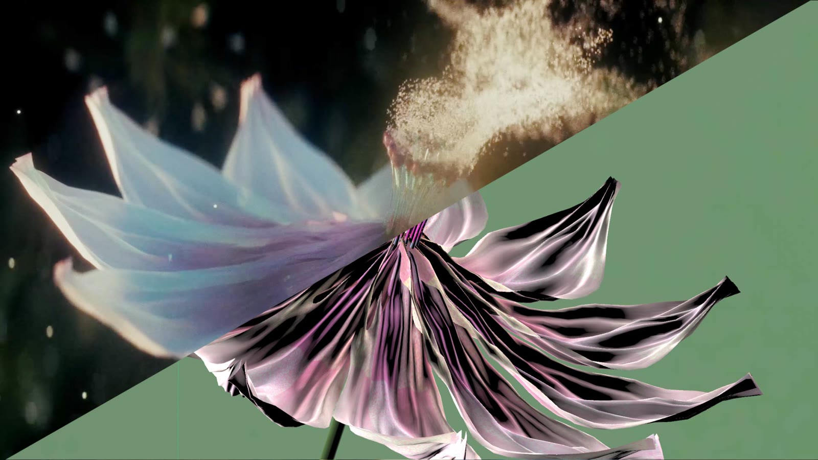 Making of — petals final vs. animation pass
