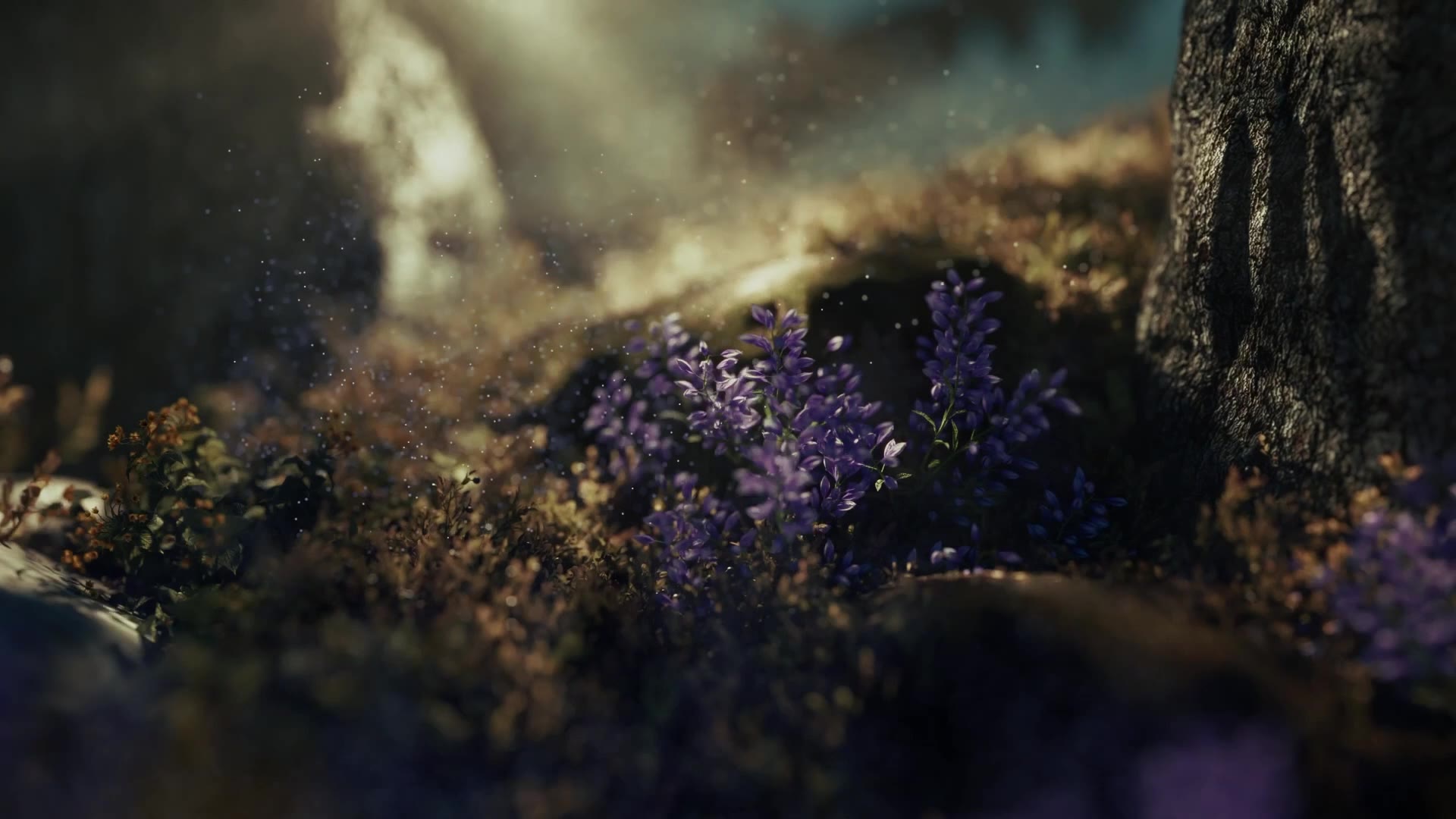Tērvete GIN TVC — mossy hill with lavender
