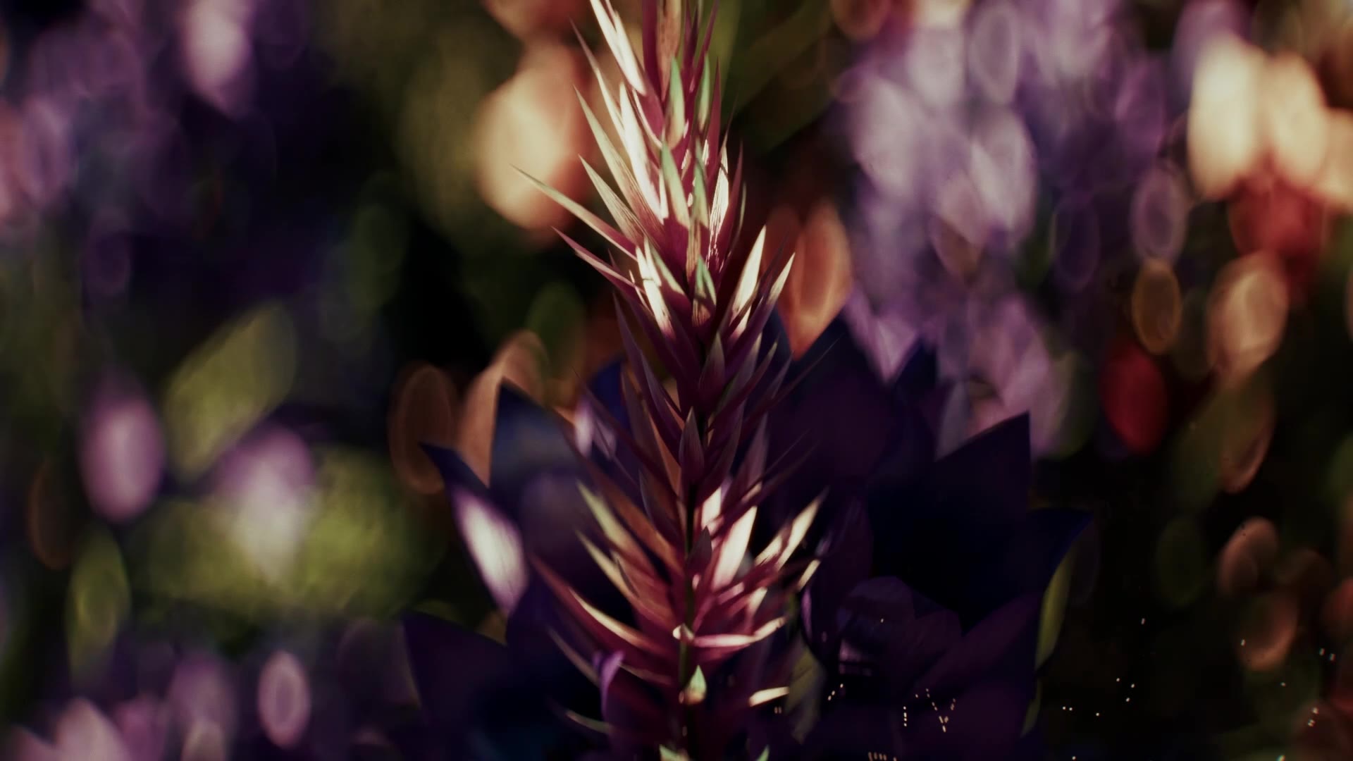 Tērvete GIN TVC — spiked flower macro