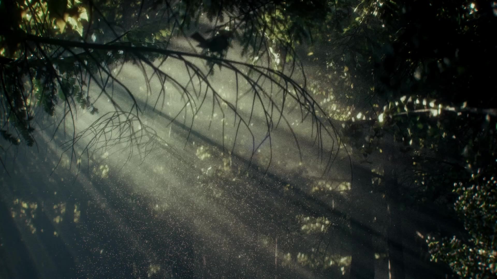 Tērvete GIN TVC — forest light rays